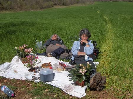 Une petite sieste après un repas d'anniversaire de mariage, c'est normal!