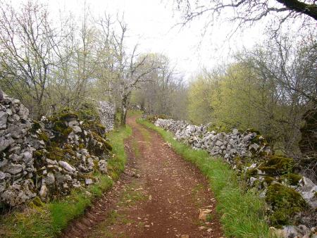 Le causse entre Figeac et Rocamadour