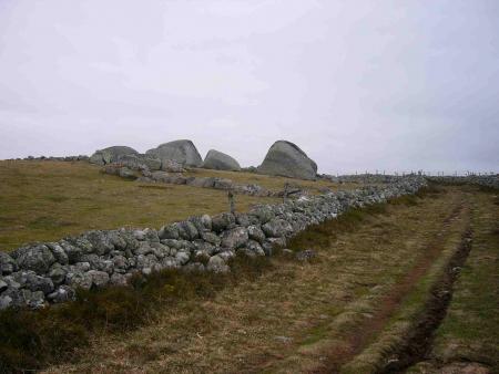 Paysage de l'Aubrac