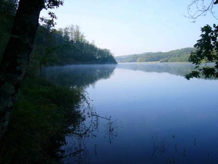 Doux matin sur l'Adour