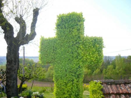 L'arbre de la croix